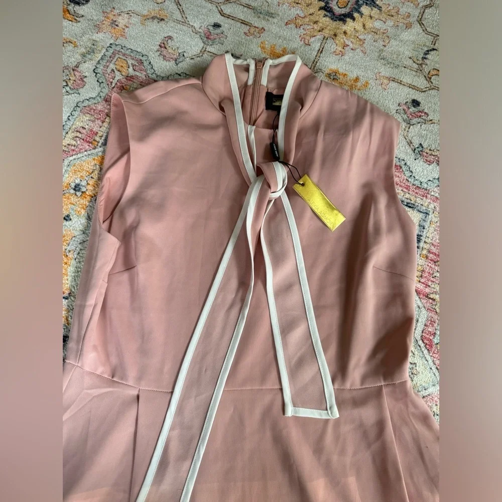 NWT  Alexia Admor Short Sleeve Sleeve Fit And Flare Dress Pink And White - Picture 2 of 8
